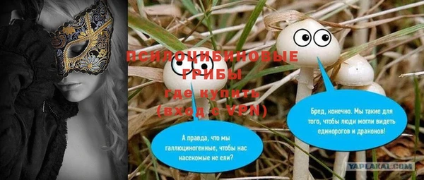 синтетический гашиш Алексин