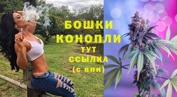 МДПВ Арсеньев